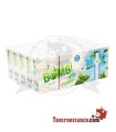 Tubos Fresh Bomb! Mint - 5 Boxes of 100 Tubes