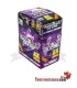 Papel Cono Cyclone 2u color púrpura 24 conos