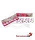 Juicy Jay Himbeergeschmack King Size Papier 110 mm
