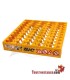 BiC Maxi Display Tray EMPTY