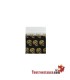 Bolsa Hermética Gold Skulls MINI 25 x 25 mm 100 unidades