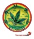Cendrier en métal rasta