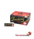 Boîtier filtrant en carton smoking - 50 filtres