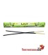 Incienso aroma Lily 20 varillas
