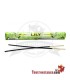 Encens parfum lily 20 tiges