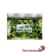 Bandeja Cristal Pound Bag 16x12 cm
