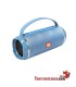 Haut-parleur portable T&G couleurs