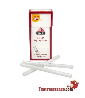 Filtres Gizeh prédécoupés de 6 mm