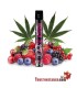 Wpuff CBD Jesus Kush Myrtilles & Framboises