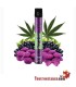 Wpuff CBD Roxo Punch Doce