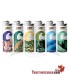 Accendino BIC Ecolutions Maxi