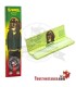 G-rollz Pets Rock Reggae King Paper Vert Format