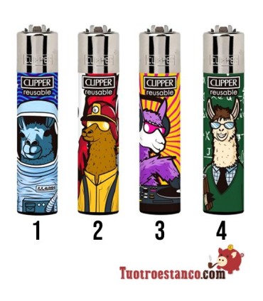 Travail avec Clipper Llama