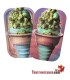 Metal Tray + 27x16cm Ice Cream Lid