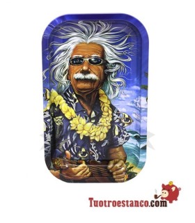 Bandeja Metálica de 27x16cm Einstein