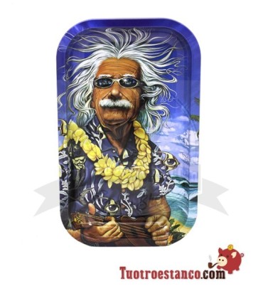 27x16cm Einstein Metal Tray