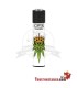 Clipper Canna king