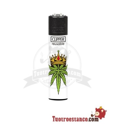 Clipper Canna king