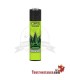 Clipper Canna king