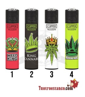 Clipper Canna king