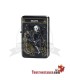 Champ Tarot Gaslighter