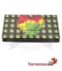 Portatabacco Hibron Bob Marley
