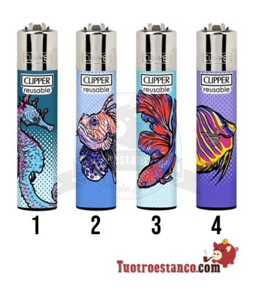 Clipper Under the Sea 3