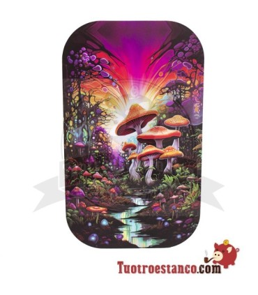 Tapas Magnéticas para Bandeja de 27x16 cm