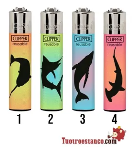 Clipper unter dem Meer