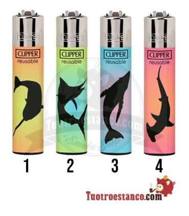 Clipper Sotto il Mare