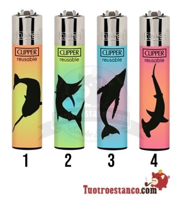 Clipper Under the Sea