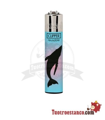 Clipper Under the Sea