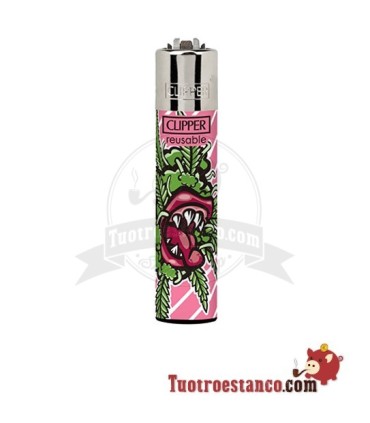 Clipper ohne Gras