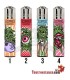 Clipper ohne Gras