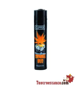Clipper Allemagne Home Grown