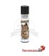 Clipper Germania Kater
