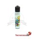 Clipper Micro Draghi Asiatici