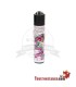 Clipper Micro Dragões Asiáticos