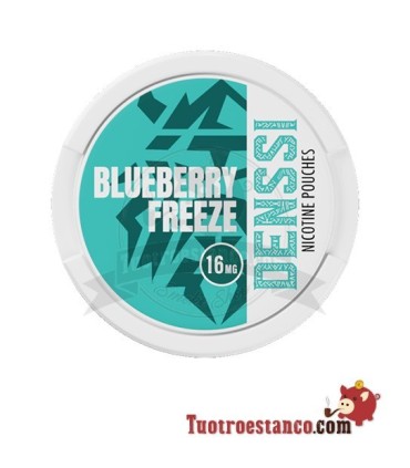 Denssi Blueberry Freeze