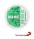 Menta fredda Denssi
