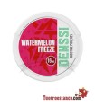Denssi Wassermelonen-Einfrieren