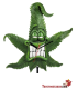 Regarder Cannabuds