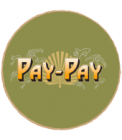 Livro Verde Pay-Pay Go